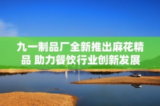 九一制品厂全新推出麻花精品 助力餐饮行业创新发展