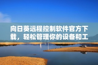 向日葵远程控制软件官方下载，轻松管理你的设备和工作环境