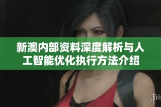 新澳内部资料深度解析与人工智能优化执行方法介绍