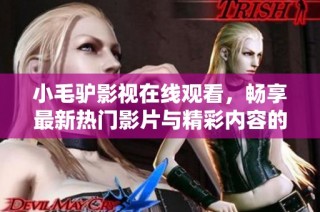 小毛驴影视在线观看，畅享最新热门影片与精彩内容的最佳选择