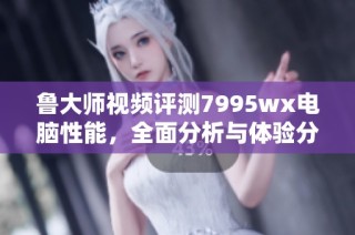 鲁大师视频评测7995wx电脑性能，全面分析与体验分享