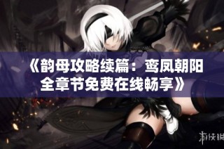 《韵母攻略续篇：鸾凤朝阳全章节免费在线畅享》