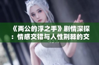 《两公的浮之手》剧情深探：情感交错与人性荆棘的交锋之旅