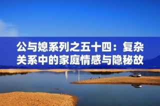 公与媳系列之五十四：复杂关系中的家庭情感与隐秘故事探讨
