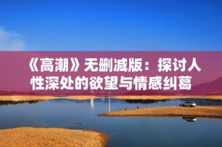 《高潮》无删减版：探讨人性深处的欲望与情感纠葛