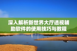深入解析新世界大厅透视辅助软件的使用技巧与教程