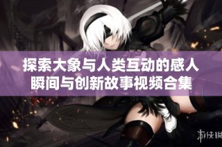 探索大象与人类互动的感人瞬间与创新故事视频合集
