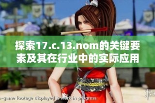 探索17.c.13.nom的关键要素及其在行业中的实际应用分析