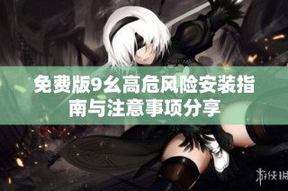 免费版9幺高危风险安装指南与注意事项分享