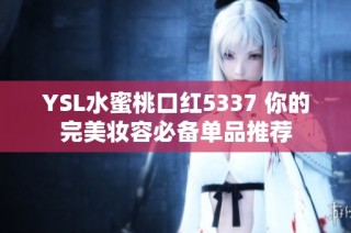 YSL水蜜桃口红5337 你的完美妆容必备单品推荐