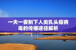 一夫一妻制下人类乳头瘤病毒的传播途径解析
