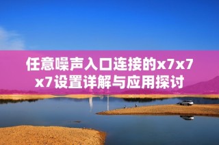 任意噪声入口连接的x7x7x7设置详解与应用探讨