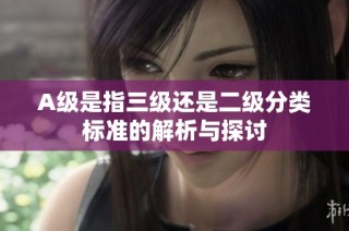 A级是指三级还是二级分类标准的解析与探讨