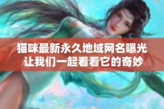 猫咪最新永久地域网名曝光 让我们一起看看它的奇妙变化