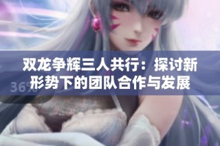 双龙争辉三人共行：探讨新形势下的团队合作与发展