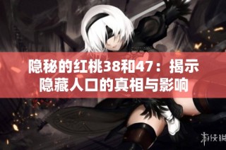 隐秘的红桃38和47：揭示隐藏人口的真相与影响