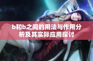 b和b之间的用法与作用分析及其实际应用探讨