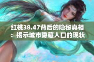 红桃38.47背后的隐秘真相：揭示城市隐藏人口的现状与挑战