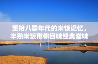 重拾八零年代的米饭记忆，半熟米饭带你回味经典滋味
