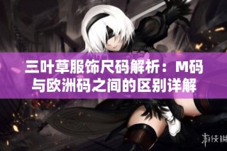 三叶草服饰尺码解析：M码与欧洲码之间的区别详解