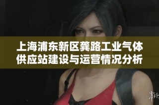 上海浦东新区龚路工业气体供应站建设与运营情况分析