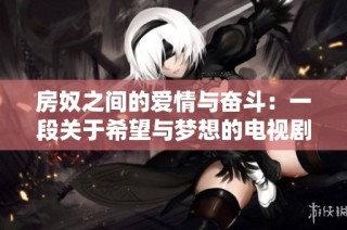 房奴之间的爱情与奋斗：一段关于希望与梦想的电视剧旅程