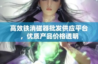 高效铁消磁器批发供应平台，优质产品价格透明