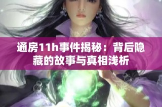 通房11h事件揭秘：背后隐藏的故事与真相浅析