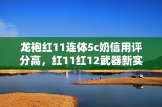 龙袍红11连体5c奶信用评分高，红11红12武器新实力揭秘！