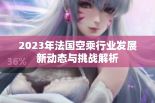 2023年法国空乘行业发展新动态与挑战解析