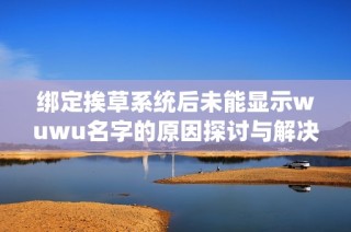 绑定挨草系统后未能显示wuwu名字的原因探讨与解决方案