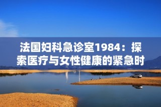 法国妇科急诊室1984：探索医疗与女性健康的紧急时刻