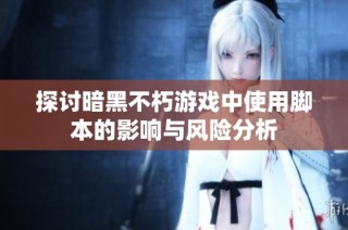探讨暗黑不朽游戏中使用脚本的影响与风险分析