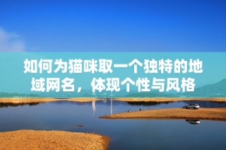 如何为猫咪取一个独特的地域网名，体现个性与风格