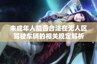 未成年人能否合法在无人区驾驶车辆的相关规定解析