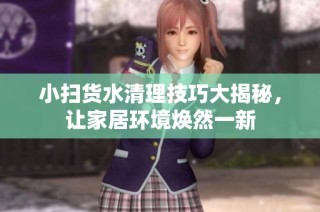 小扫货水清理技巧大揭秘，让家居环境焕然一新