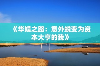 《华娱之路：意外蜕变为资本大亨的我》