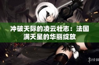 冲破天际的凌云壮志：法国满天星的华丽绽放