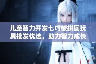 儿童智力开发七巧板拼图玩具批发优选，助力智力成长与创造力提升