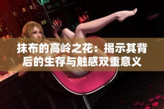 抹布的高岭之花：揭示其背后的生存与触感双重意义