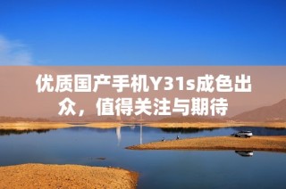 优质国产手机Y31s成色出众，值得关注与期待
