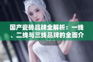 国产瓷砖品牌全解析：一线、二线与三线品牌的全面介绍