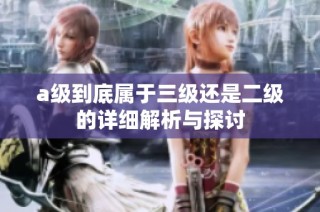 a级到底属于三级还是二级的详细解析与探讨