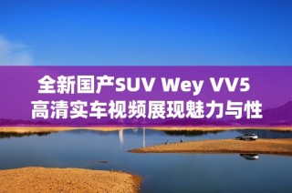 全新国产SUV Wey VV5 高清实车视频展现魅力与性能