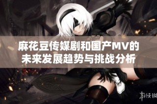 麻花豆传媒剧和国产MV的未来发展趋势与挑战分析