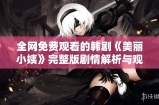 全网免费观看的韩剧《美丽小姨》完整版剧情解析与观后感分享