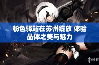 粉色驿站在苏州绽放 体验晶体之美与魅力
