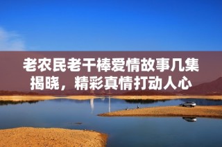 老农民老干棒爱情故事几集揭晓，精彩真情打动人心