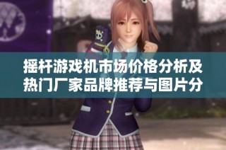 摇杆游戏机市场价格分析及热门厂家品牌推荐与图片分享