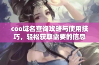 coo域名查询攻略与使用技巧，轻松获取需要的信息